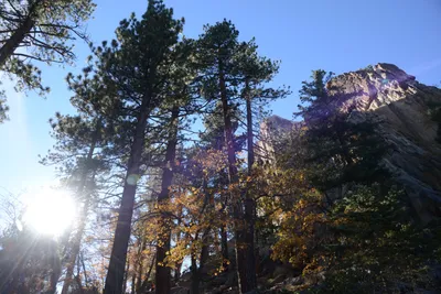 DSC_5158 (Large).JPG